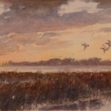 Sunset- Scaup | Watercolor | 6 x 8