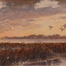 Sunset - Scaup | Watercolor | 6 x 8 - SOLD